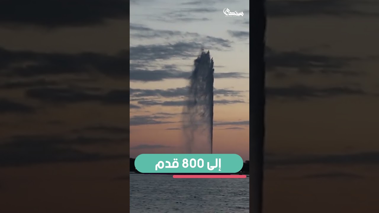 موشن ريلز قصير